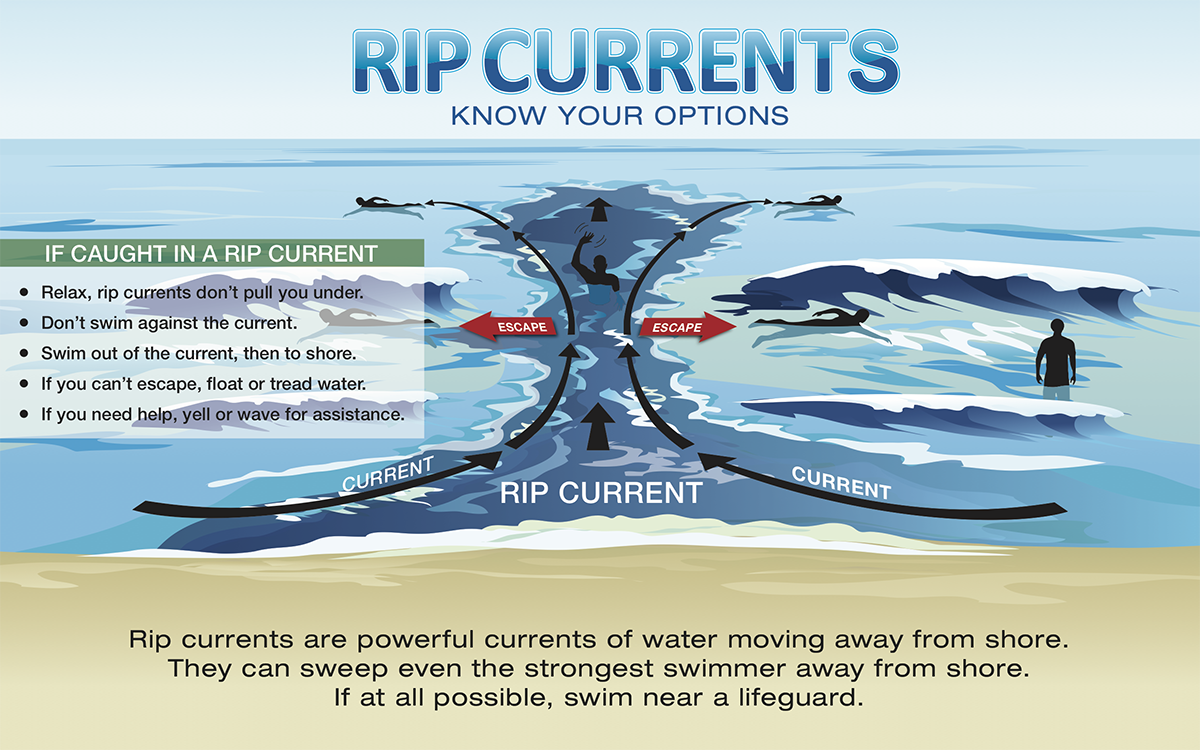 Rip Currents: What to do