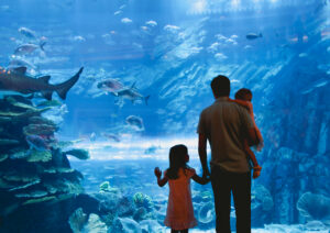 Family visiting the aquarium